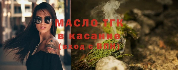 шишки Няндома