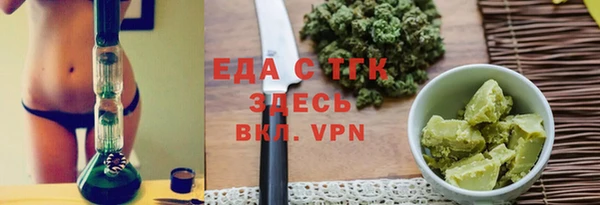 шишки Няндома