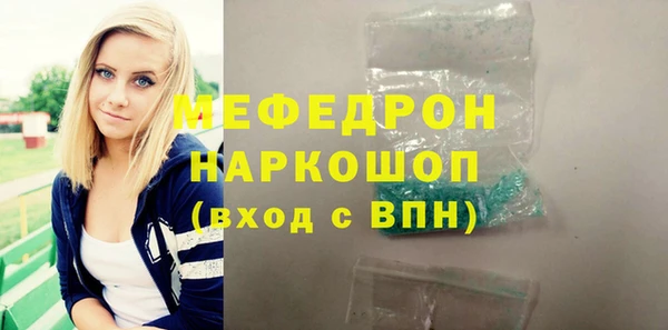 шишки Няндома