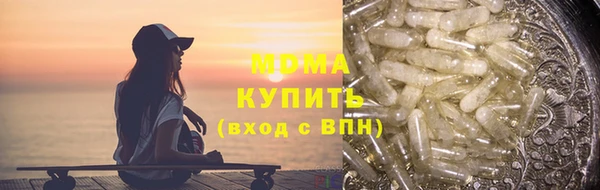 шишки Няндома