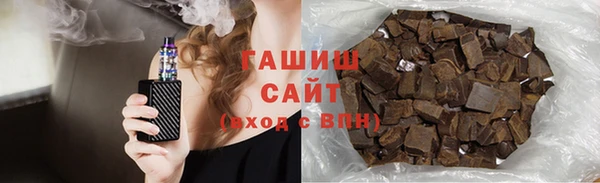 шишки Няндома