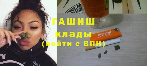 шишки Няндома