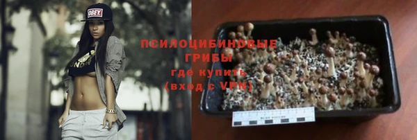 шишки Няндома