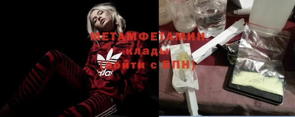 шишки Няндома