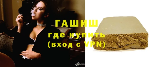 шишки Няндома