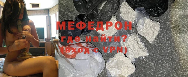 шишки Няндома