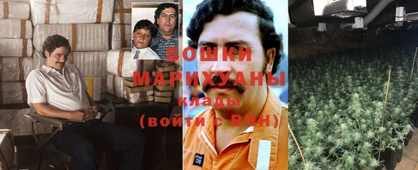 шишки Няндома