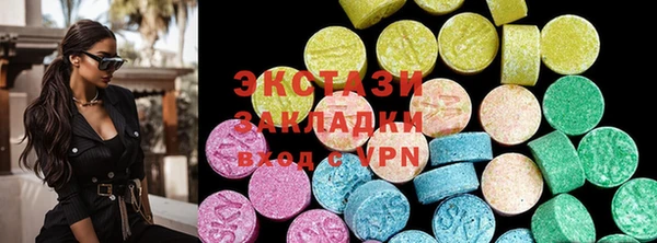 шишки Няндома