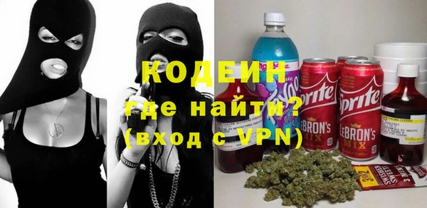 шишки Няндома