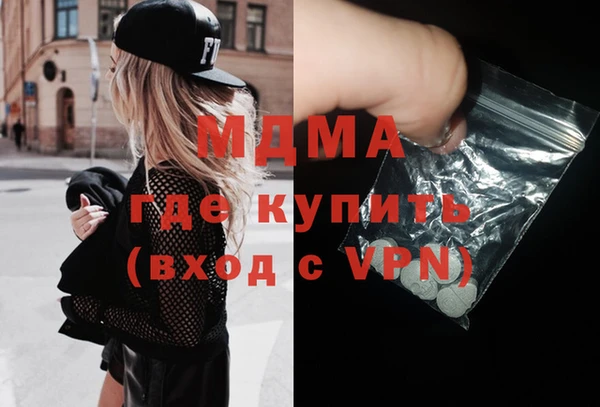 шишки Няндома