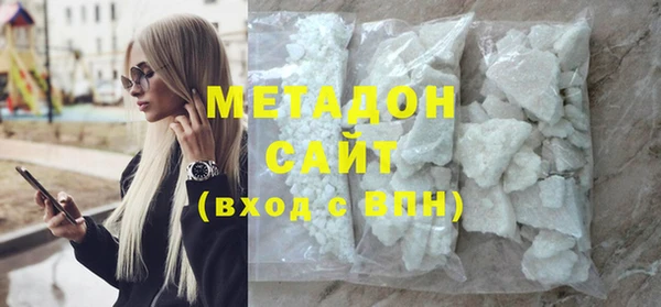 шишки Няндома