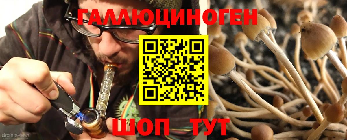 Галлюциногенные грибы Cubensis  Вход с VPN  Кострома 